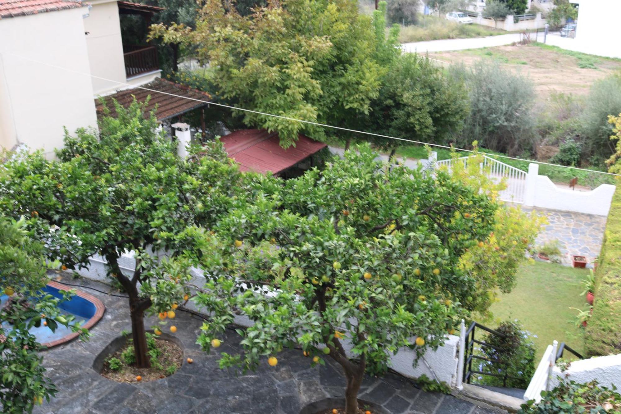 Villa Sofia Marathos  Luaran gambar