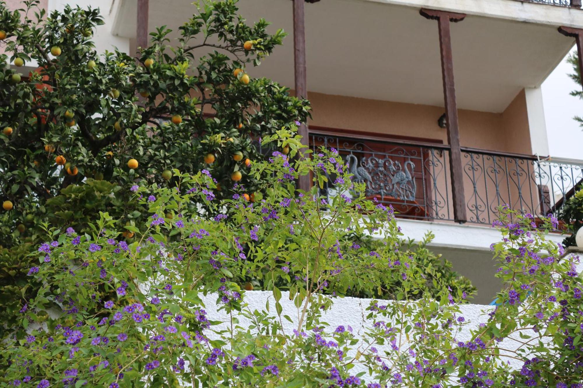 Villa Sofia Marathos  Luaran gambar