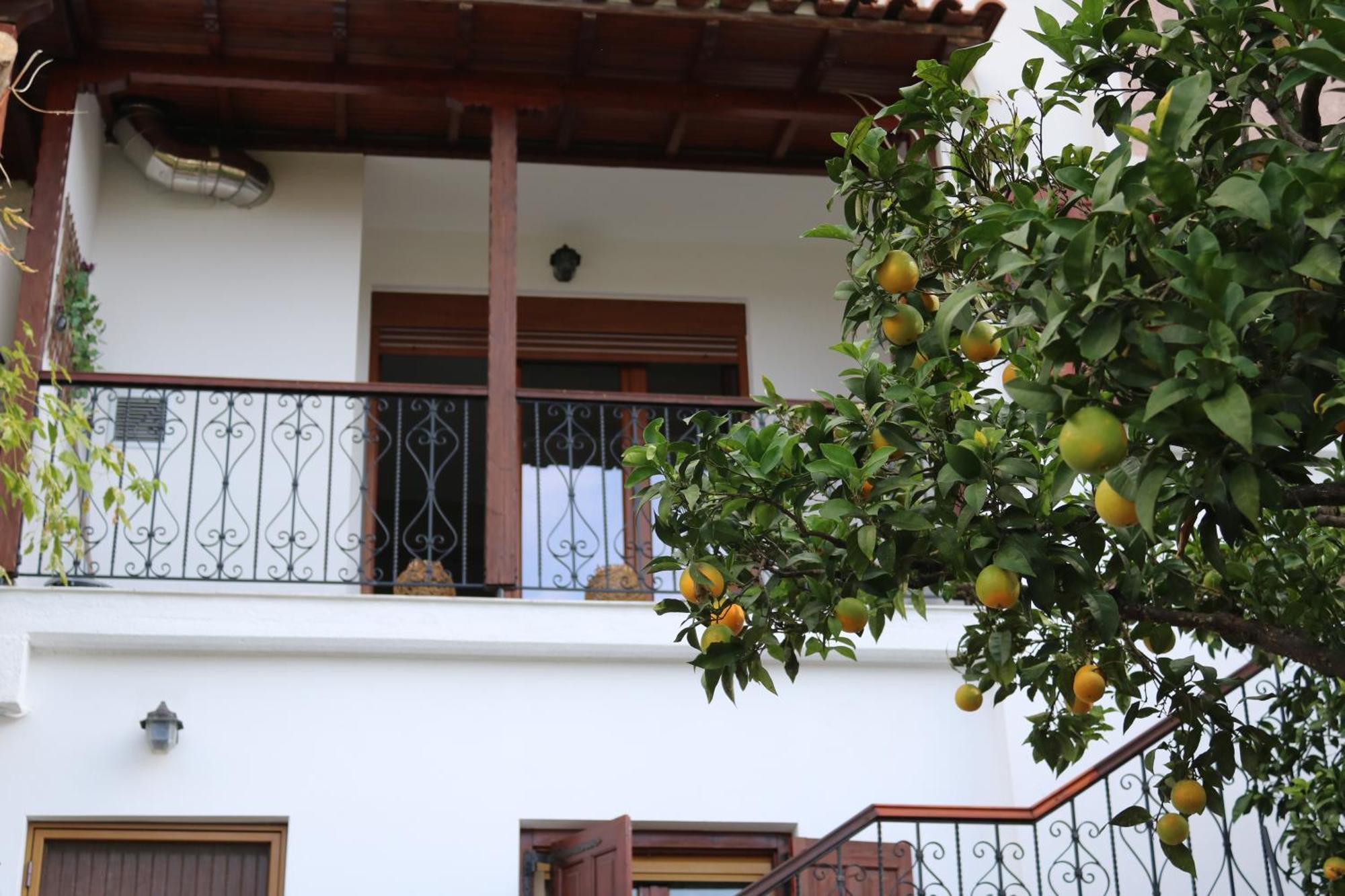Villa Sofia Marathos  Bilik gambar