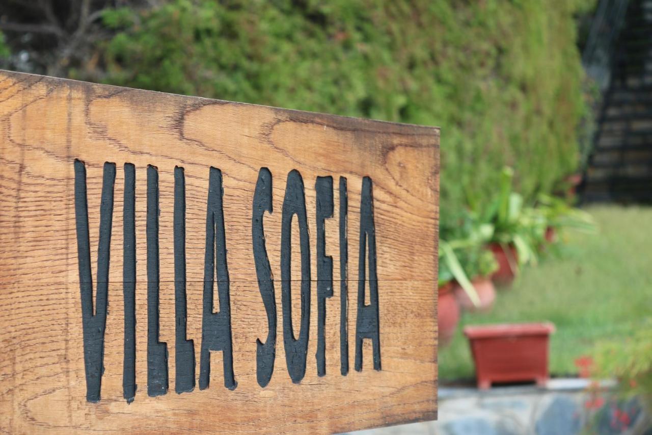 Villa Sofia Marathos  Luaran gambar