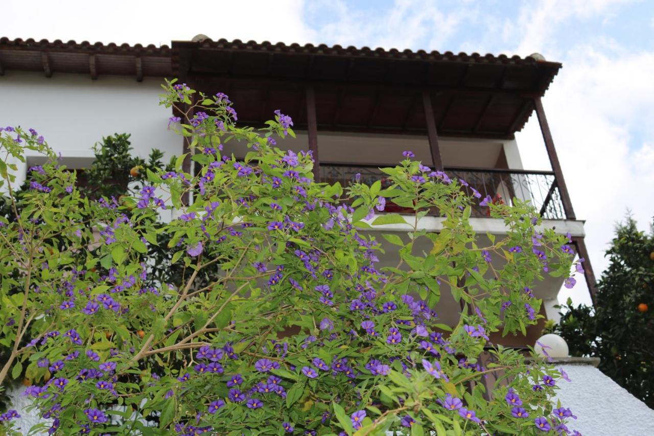 Villa Sofia Marathos  Luaran gambar